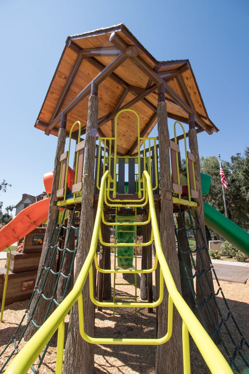 Grape Day Park preview 7